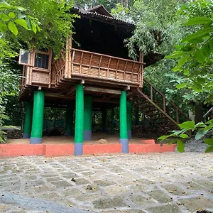 Trekking Trails Eco Kalpetta